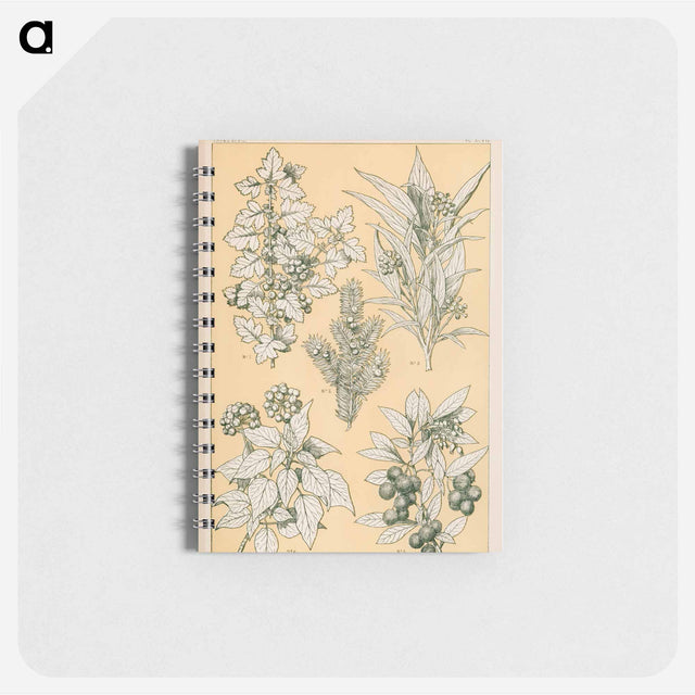 アートメモ帳-Nineteenth-Century Ornament
 - 装飾の文法 Memo.
