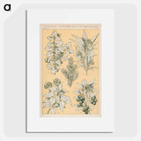 アートポスター-Nineteenth-Century Ornament
 - 装飾の文法 Poster.