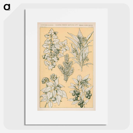 アートポスター-Nineteenth-Century Ornament
 - 装飾の文法 Poster.