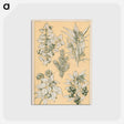 アートポストカード-Nineteenth-Century Ornament
 - 装飾の文法 Postcard.