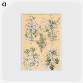 アートポストカード-Nineteenth-Century Ornament
 - 装飾の文法 Postcard.