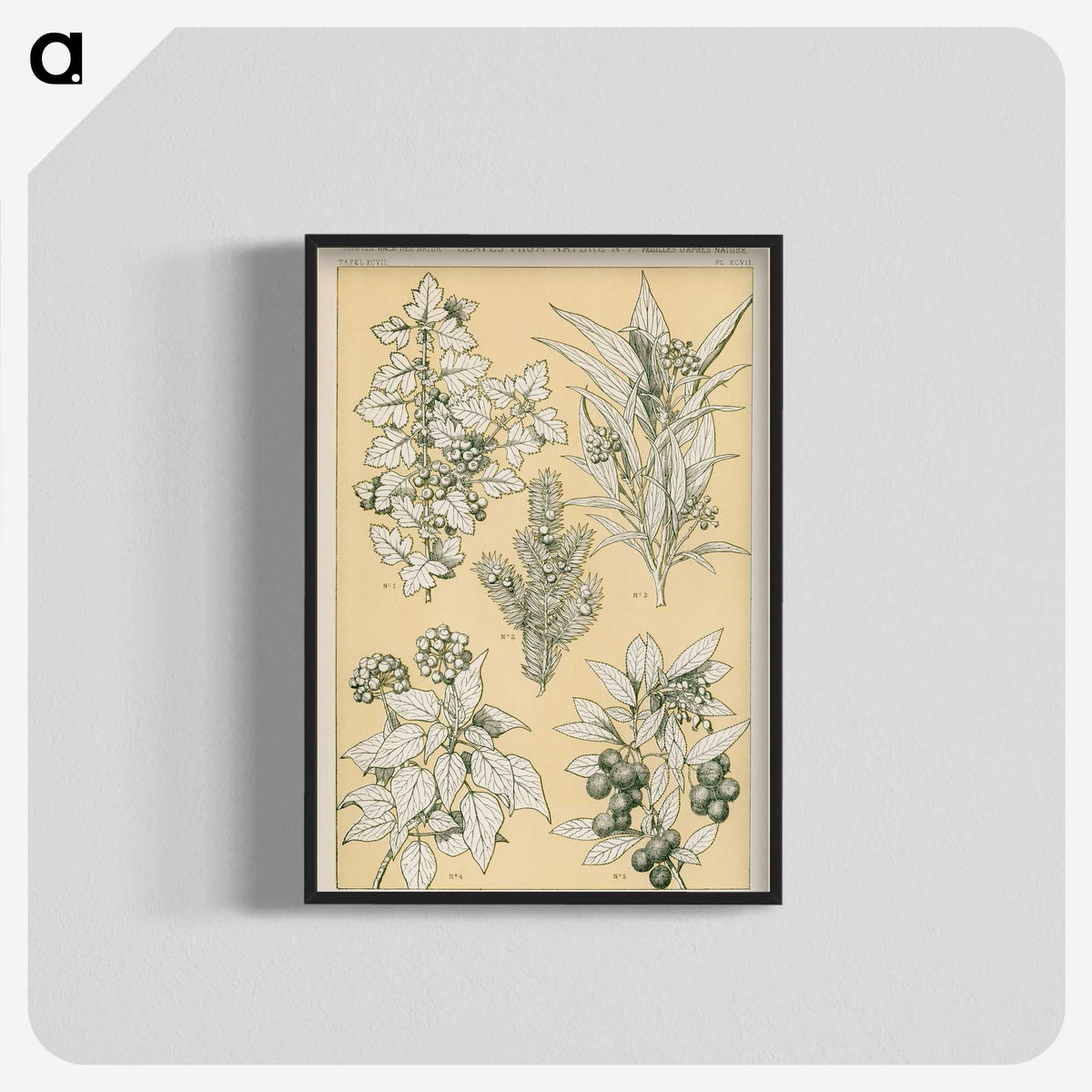 1-30_The-Grammar-of-Ornament_blk-crop