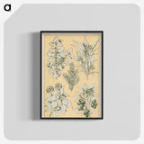 1-30_The-Grammar-of-Ornament_blk-crop