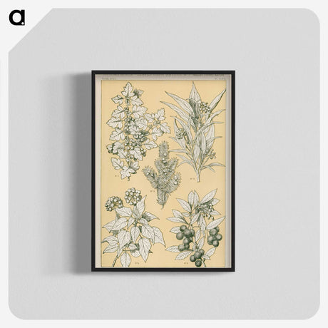 1-30_The-Grammar-of-Ornament_blk-crop