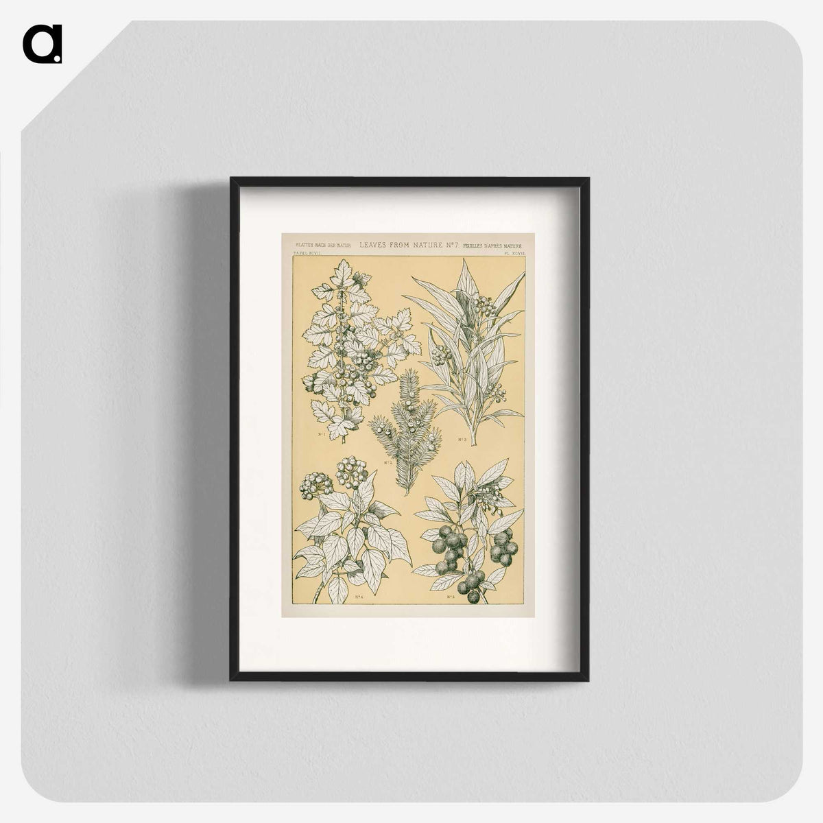 1-30_The-Grammar-of-Ornament_blk