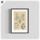 1-30_The-Grammar-of-Ornament_blk