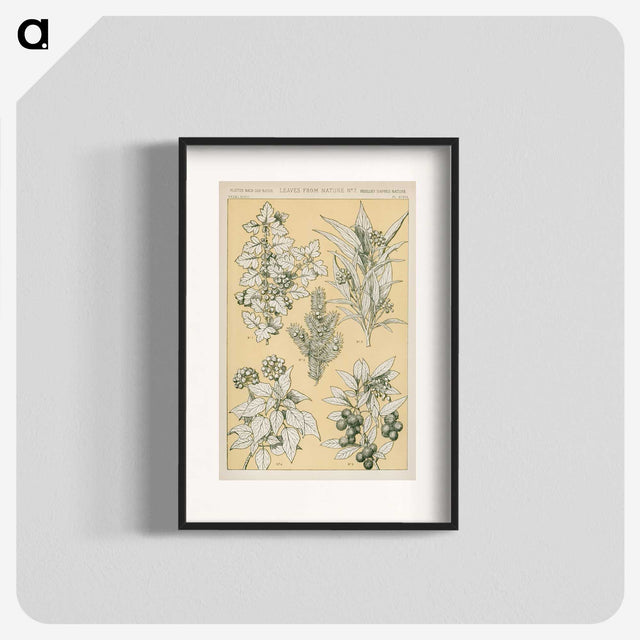 1-30_The-Grammar-of-Ornament_blk
