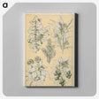 1-30_The-Grammar-of-Ornament_canvas