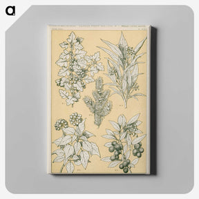 1-30_The-Grammar-of-Ornament_canvas