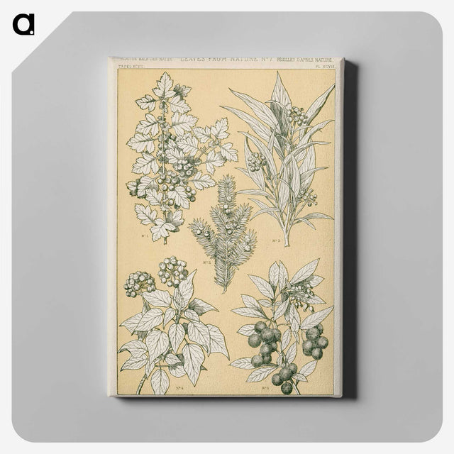 1-30_The-Grammar-of-Ornament_canvas