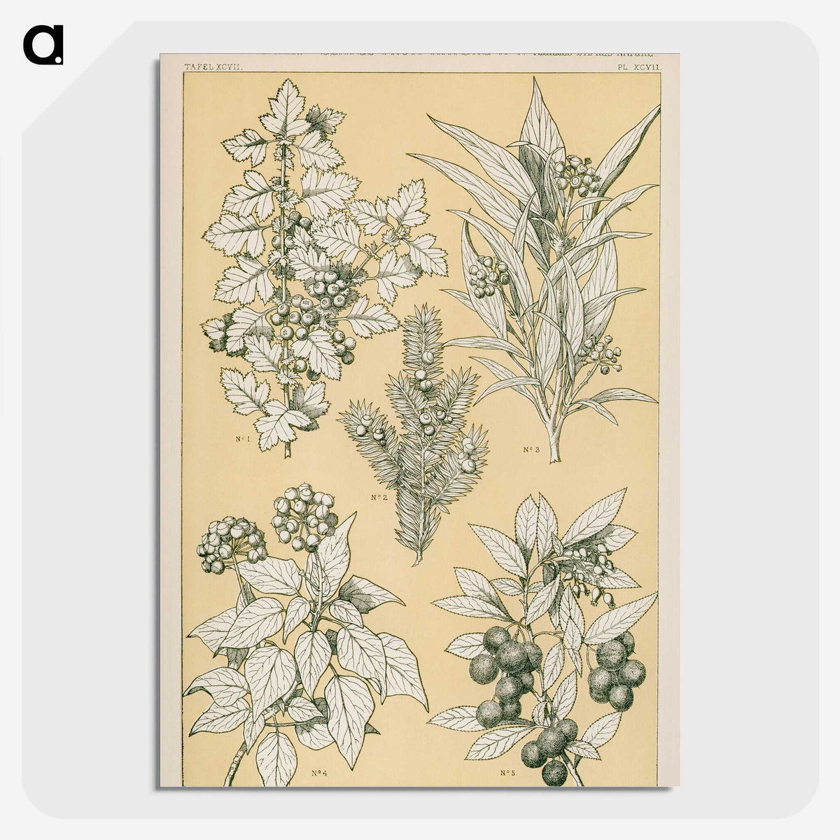 1-30_The-Grammar-of-Ornament_picture-crop