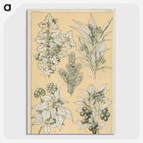 1-30_The-Grammar-of-Ornament_picture-crop