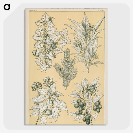 1-30_The-Grammar-of-Ornament_picture-crop