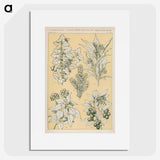 1-30_The-Grammar-of-Ornament_picture