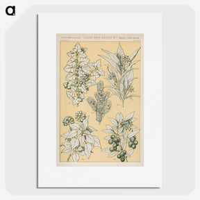 1-30_The-Grammar-of-Ornament_picture