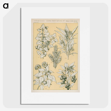 1-30_The-Grammar-of-Ornament_picture