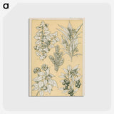 1-30_The-Grammar-of-Ornament_postcard