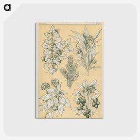 1-30_The-Grammar-of-Ornament_postcard