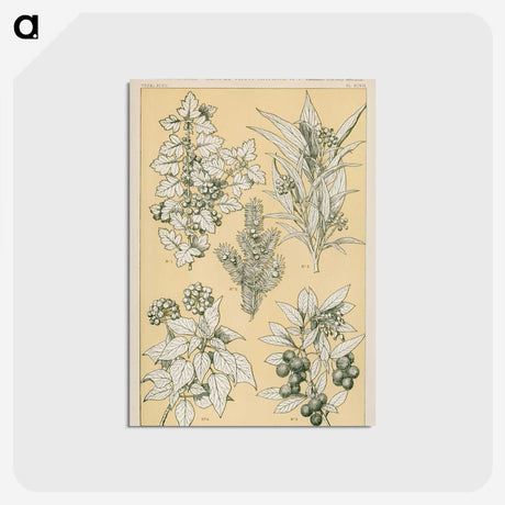 1-30_The-Grammar-of-Ornament_postcard
