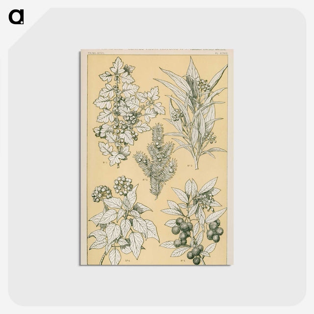 1-30_The-Grammar-of-Ornament_postcard