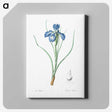 1-30_The-Lilies_canvas
