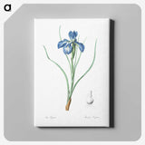 1-30_The-Lilies_canvas