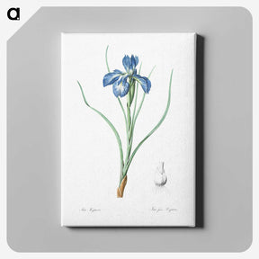 1-30_The-Lilies_canvas