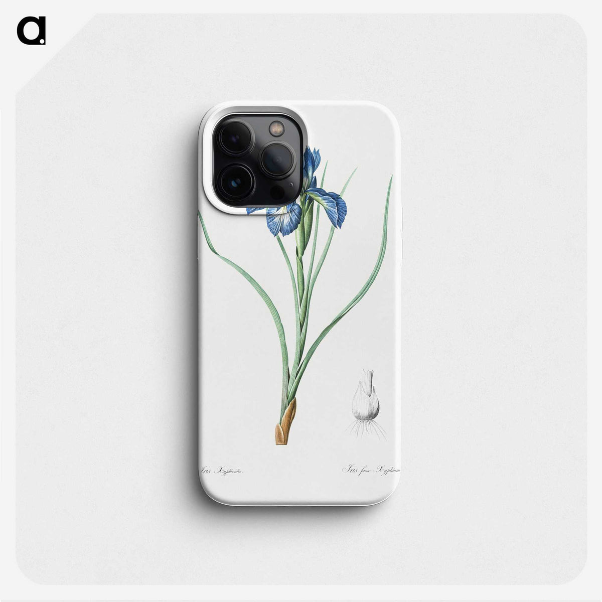 1-30_The-Lilies_phone