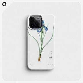 1-30_The-Lilies_phone