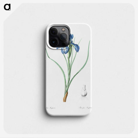 1-30_The-Lilies_phone