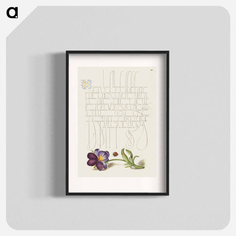 アートポスター-Ladybird and European Wild Pansy
 - 書道のお手本 Poster.