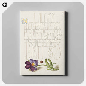 アートパネル-Ladybird and European Wild Pansy
 - 書道のお手本 Canvas.