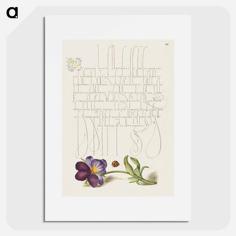 アートポスター-Ladybird and European Wild Pansy
 - 書道のお手本 Poster.