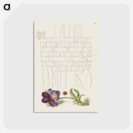 アートポストカード-Ladybird and European Wild Pansy
 - 書道のお手本 Postcard.