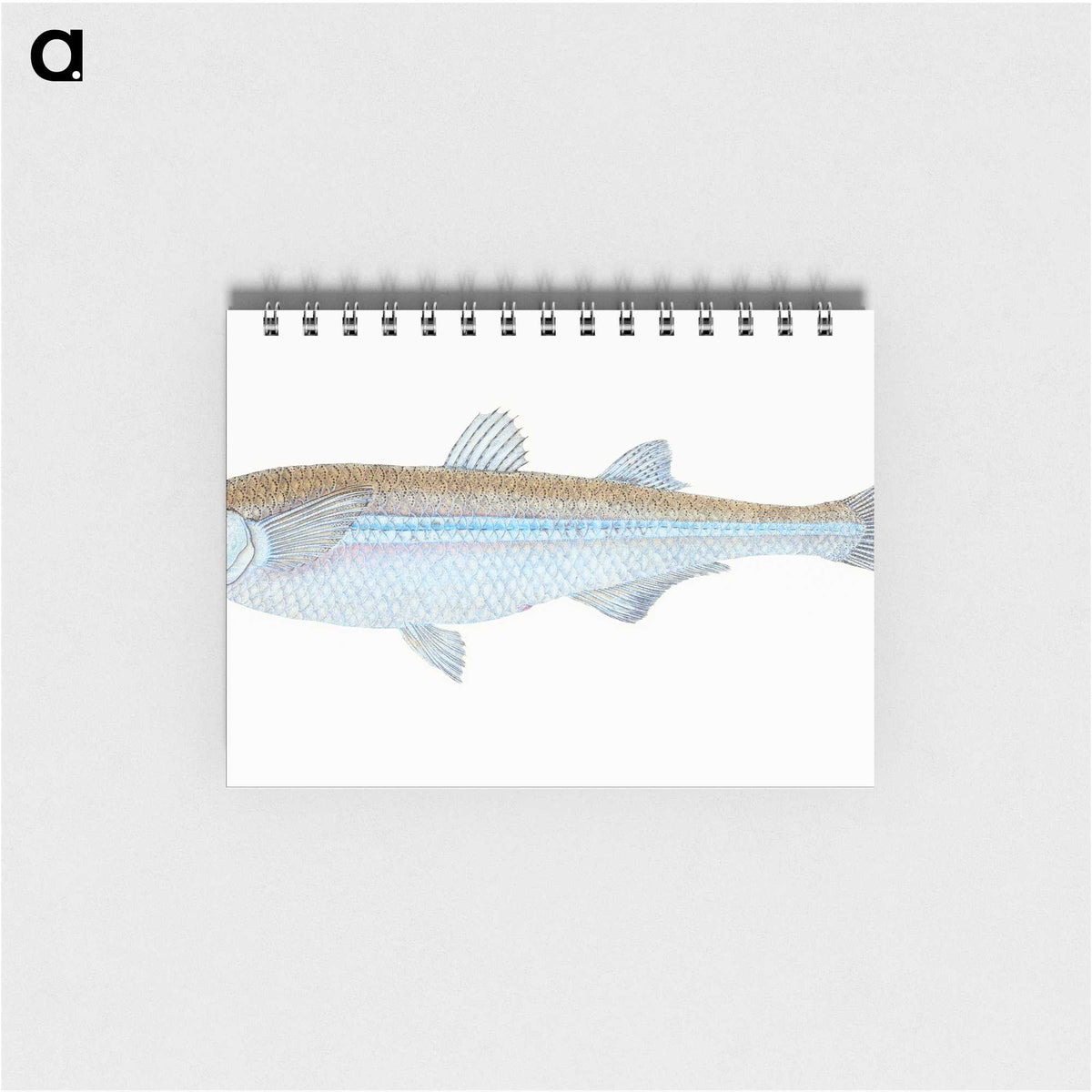 1-30_The-Natural-History-of-British-Fishes_memo