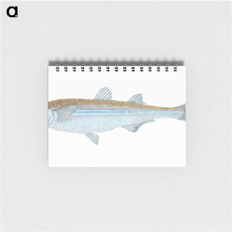 1-30_The-Natural-History-of-British-Fishes_memo