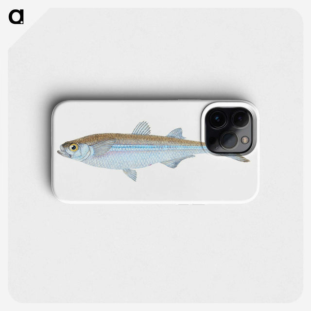 1-30_The-Natural-History-of-British-Fishes_phone