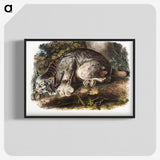 1-30_The-Viviparous-Quadrupeds_blk-crop
