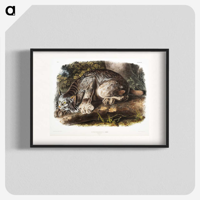 1-30_The-Viviparous-Quadrupeds_blk