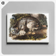 1-30_The-Viviparous-Quadrupeds_canvas