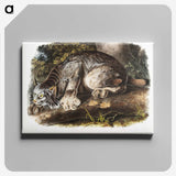 1-30_The-Viviparous-Quadrupeds_canvas