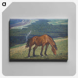 1-30_Thiel-Gallery_canvas