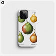 1-30_Treatise-on-Trees-and-Shrubs_phone