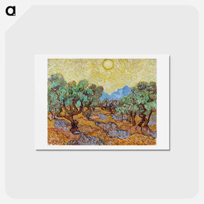 アートポストカード-Olive Trees - フィンセント ファン ゴッホ Postcard.