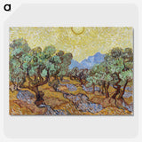 1-30_Vincent-van-Gogh_picture-crop
