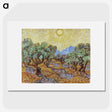 1-30_Vincent-van-Gogh_picture