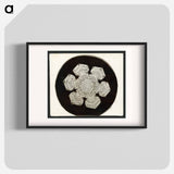 Wilson Bentley Photomicrograph of Stellar Snowflake No. 1055 - ウィルソン ベントレー Poster.