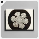 1-30_Wilson-Bentley_canvas