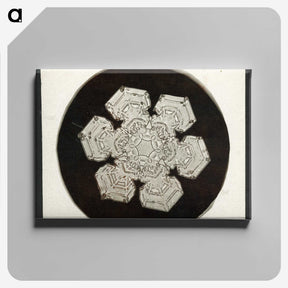 1-30_Wilson-Bentley_canvas