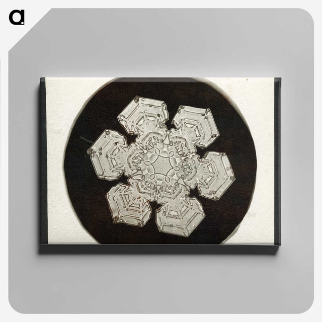 1-30_Wilson-Bentley_canvas